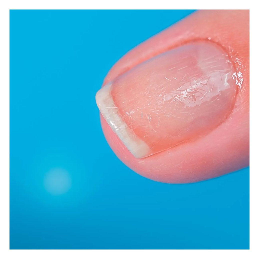 Blant Blindagem das Unhas Fibra de Nylon + Nivelador