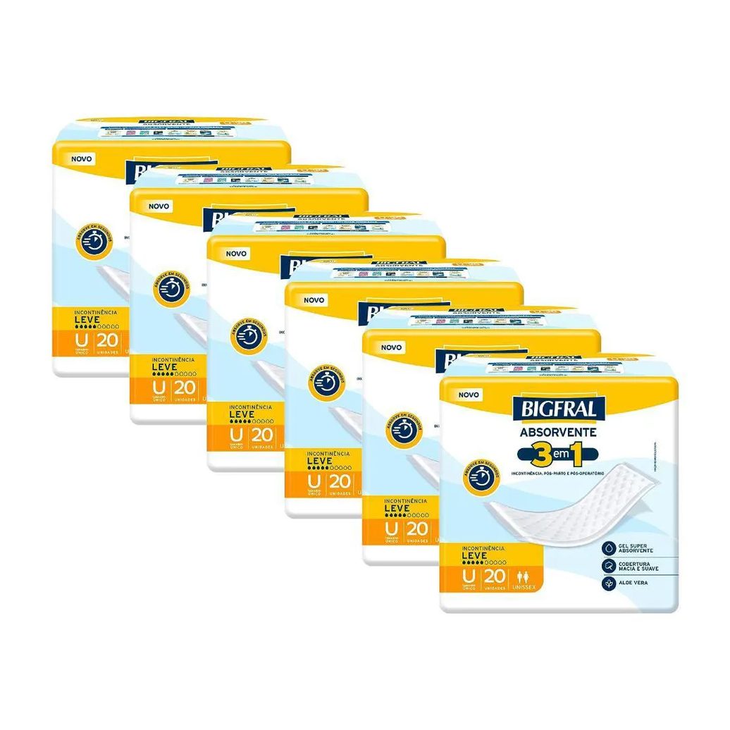 Kit 6 Absorventes Geriátricos Bigfral Regular Plus 20un Cada