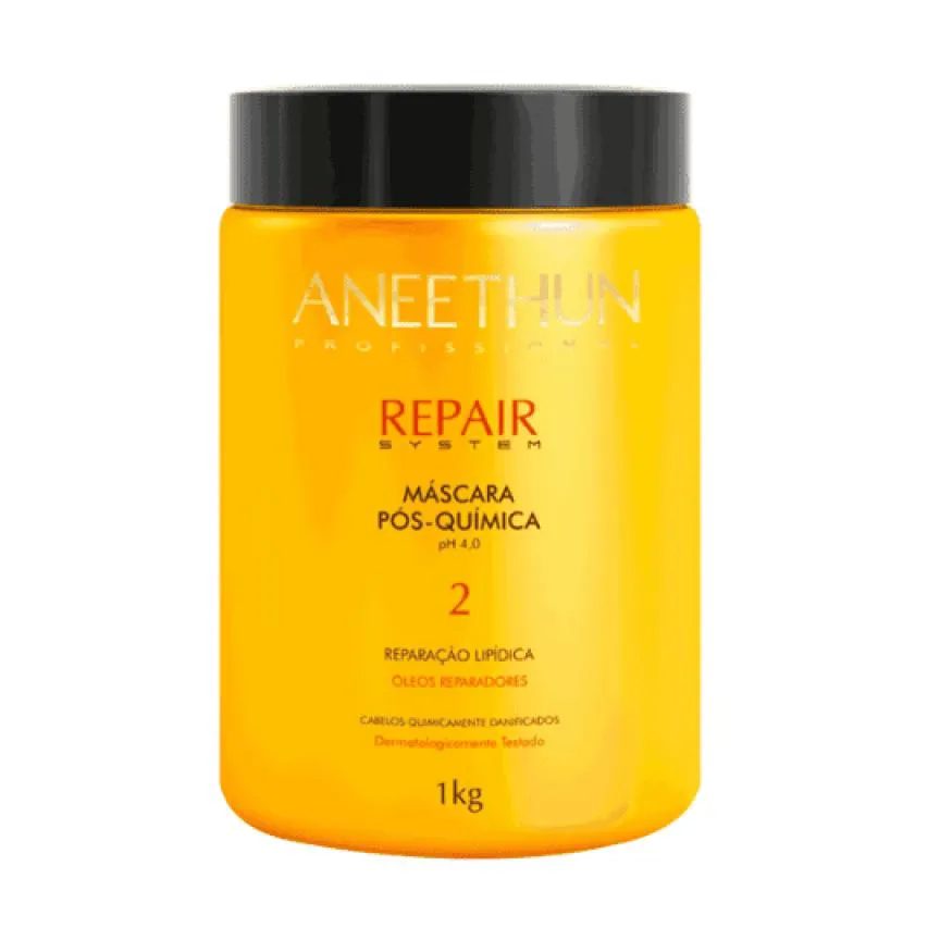 Aneethun - Repair System - Mascara Pos Quimica 1 Kg