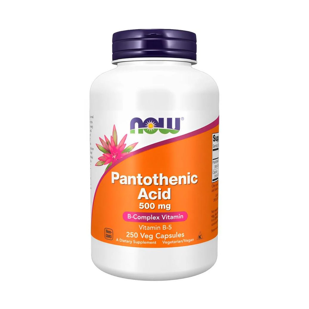 Ácido Pantotênico 500mg Now Foods 250 Cápsluas Importado