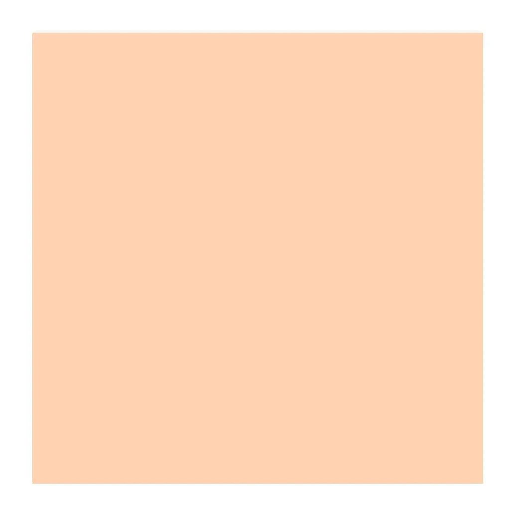 Pó Solto Satin Powder Cor 02