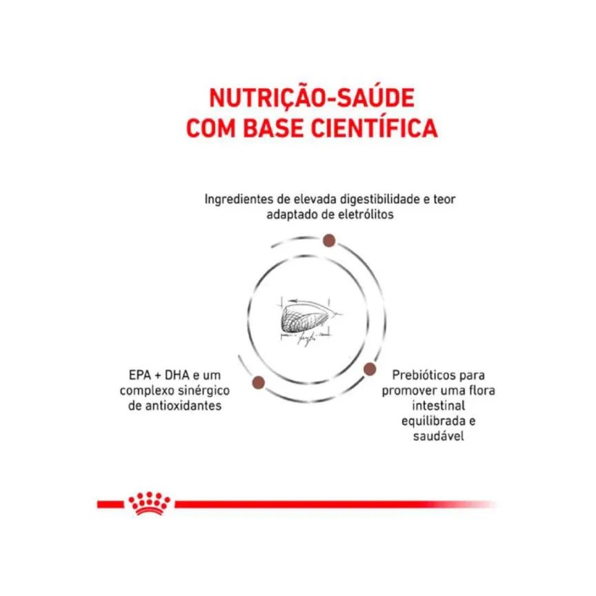 Ração Royal Canin Veterinary Diet Gastrointestinal para Gatos Adultos 4,0Kg