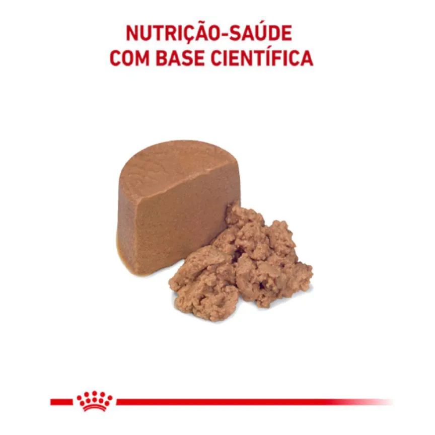 Ração Úmida Lata Royal Canin Dieta Veterinária Recovery para Cães e Gatos Adultos 195G