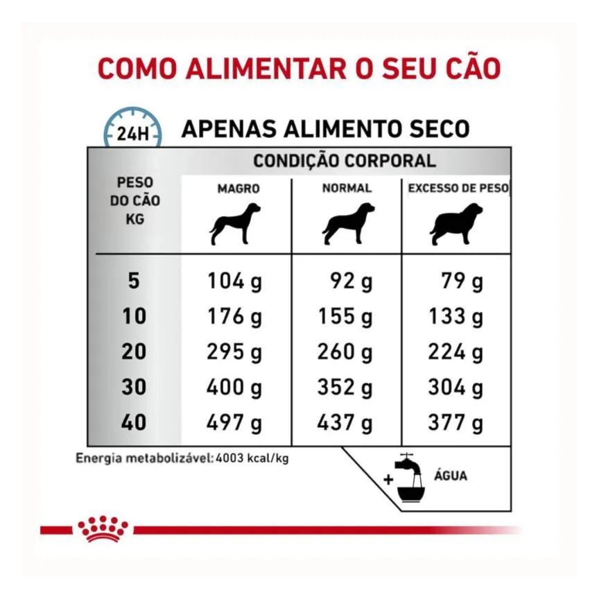 Ração Royal Canin Dieta Veterinária Anallergenic para Cães Adultos 4 Kg