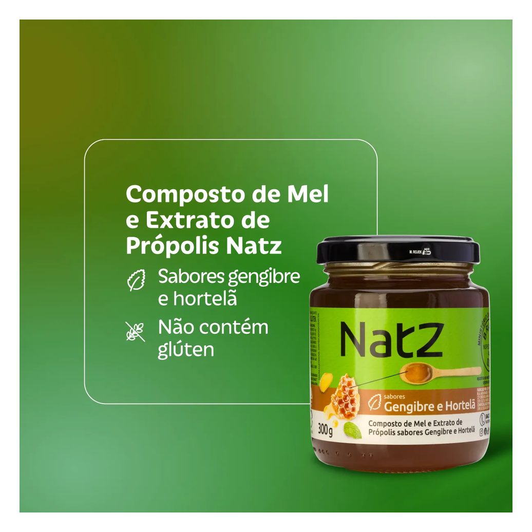Composto de Mel e Própolis Natz Gengibre e Hortelã 300g
