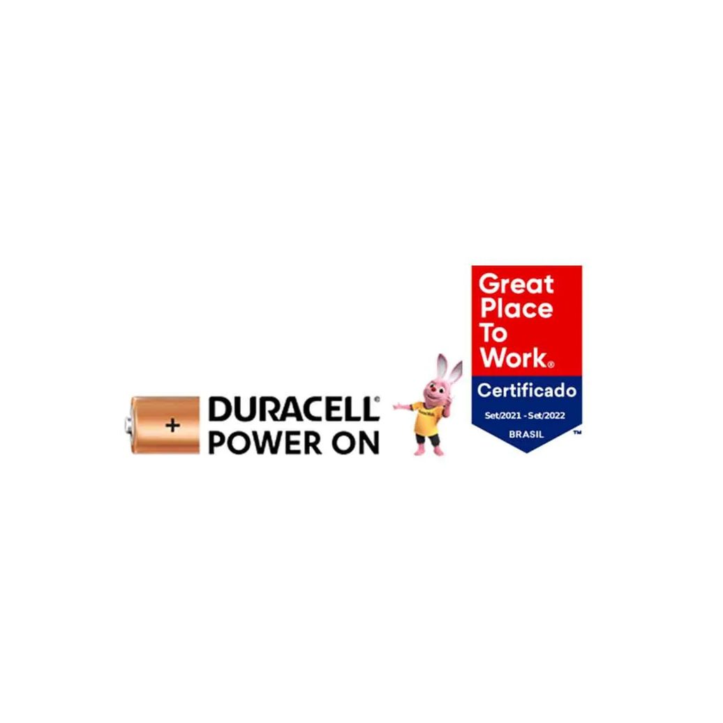 Pilha AA Duracell 2 unidades