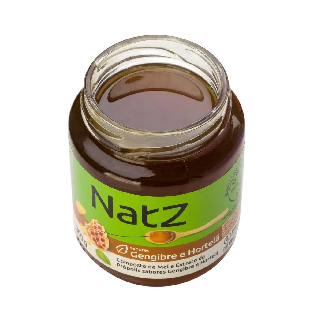 Composto de Mel e Própolis Natz Gengibre e Hortelã 300g