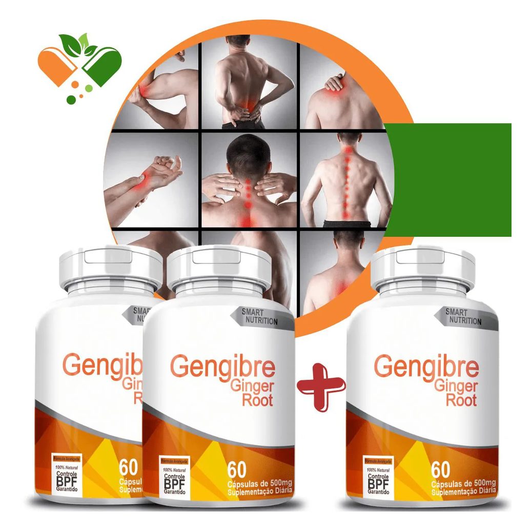 Compre 2 Leve 3 Potes Gengibre 500mg 60 cápsulas