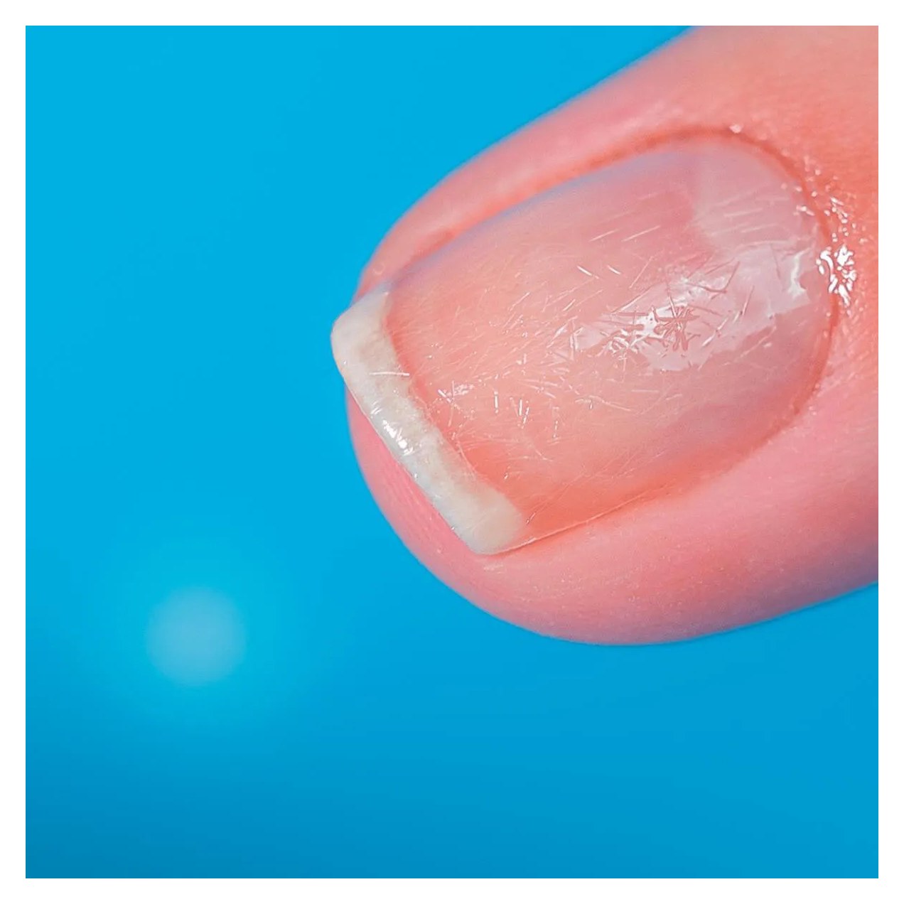 Blant Blindagem das Unhas Fibra de Nylon + Nivelador