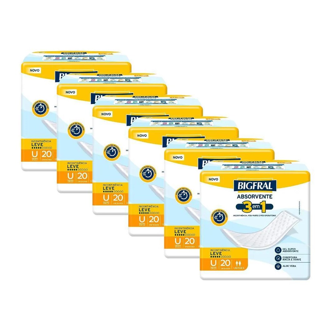 Kit 6 Absorventes Geriátricos Bigfral Regular Plus 20un Cada