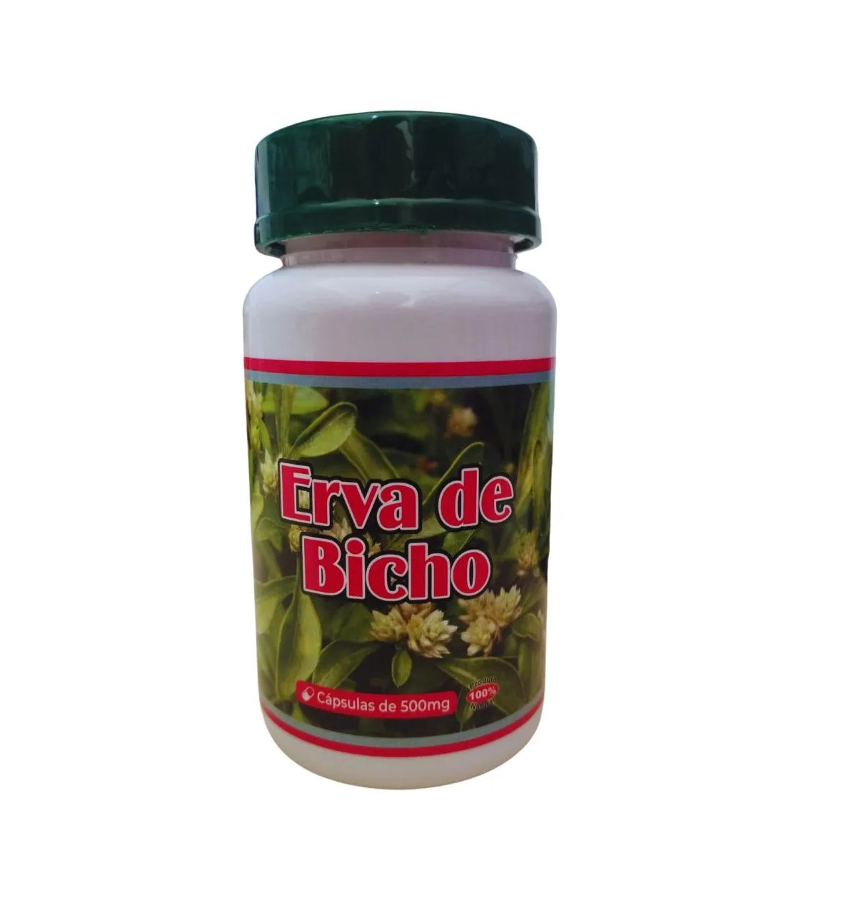 Suplemento Erva de Bicho Encapsulado em Pó 500mg 100 Capsulas