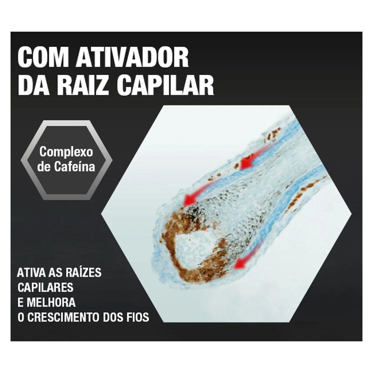 Kit Tônico Capilar Alpecin Caffeine Liquid 200ml 2 unidades