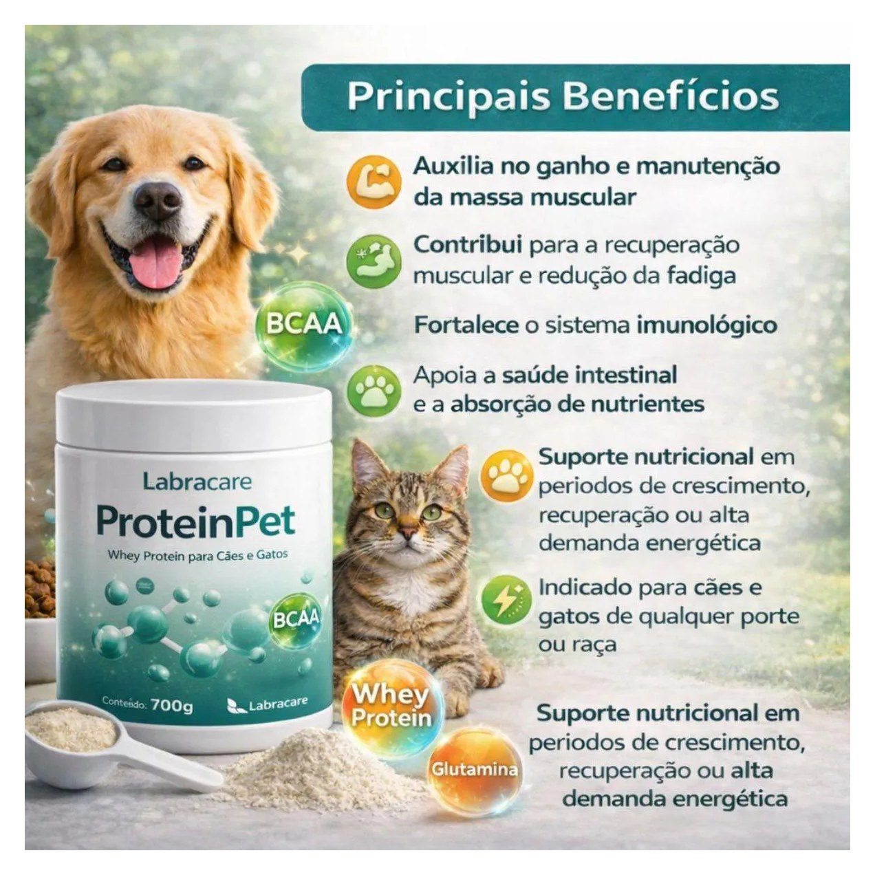 Protein Care Intensive Care, Suplemento Alimentar para Cães e Gatos - 700Gr.