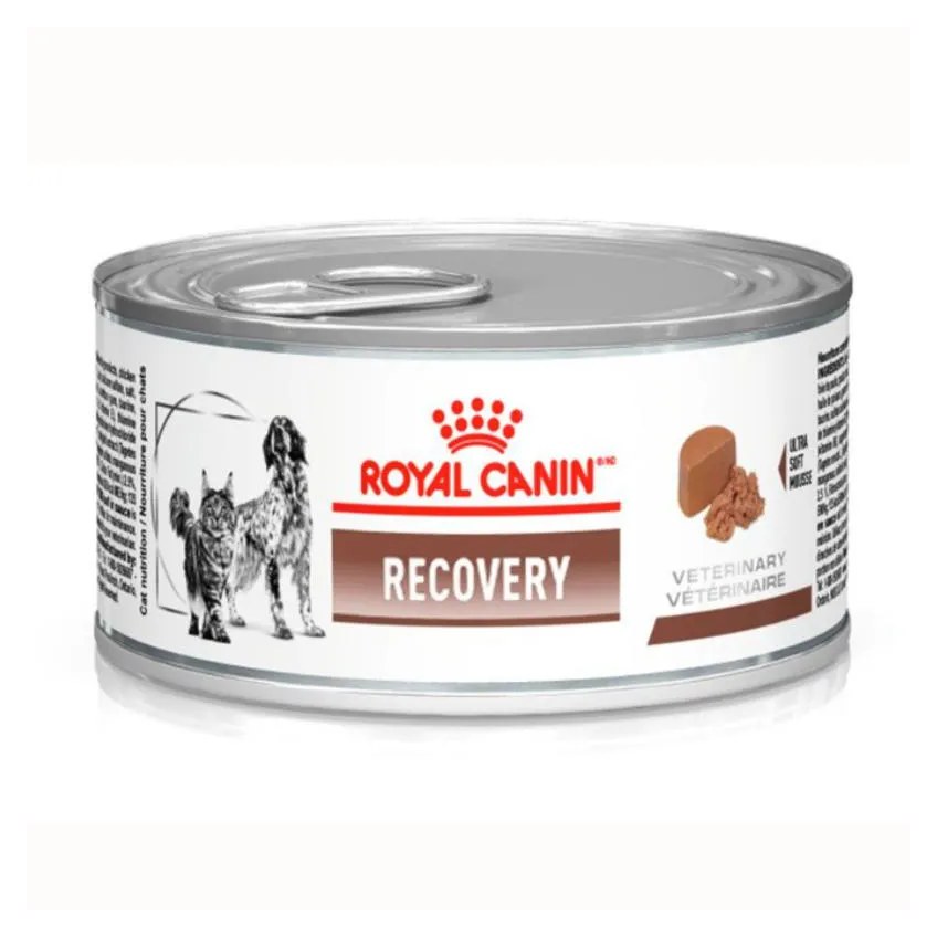Ração Úmida Lata Royal Canin Dieta Veterinária Recovery para Cães e Gatos Adultos 195G