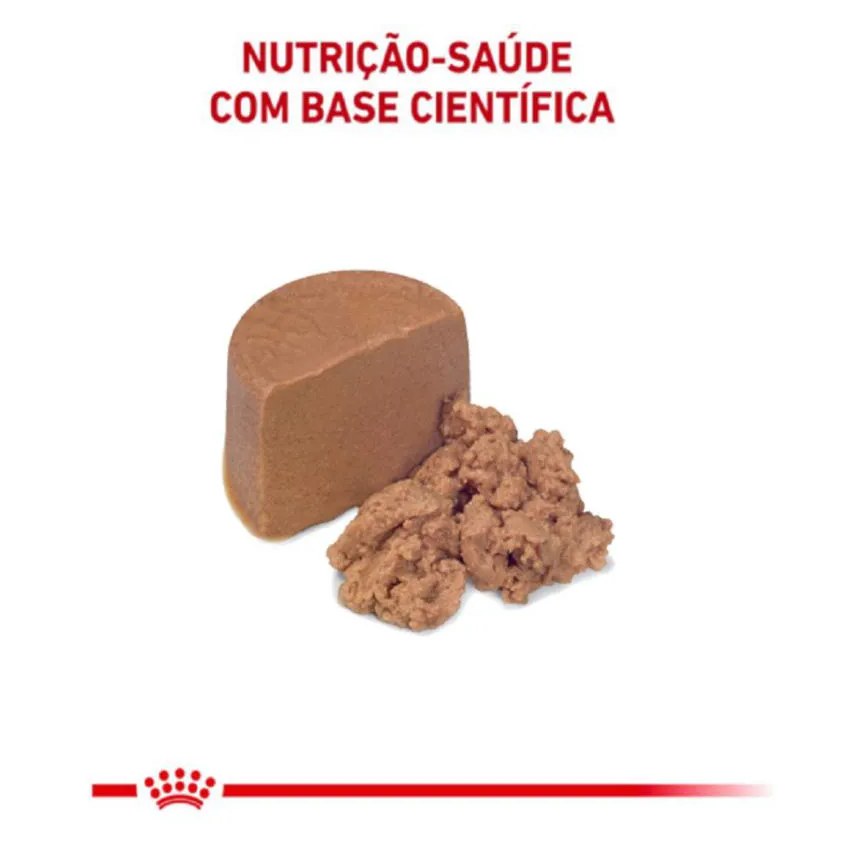 Ração Úmida Lata Royal Canin Dieta Veterinária Recovery para Cães e Gatos Adultos 195G