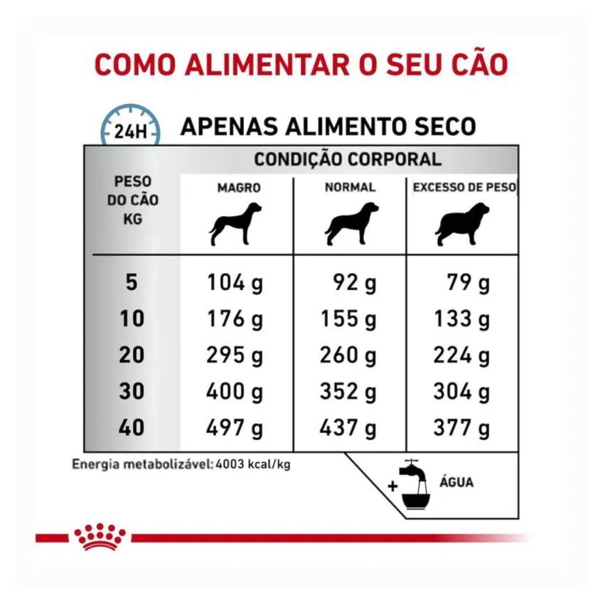 Ração Royal Canin Dieta Veterinária Anallergenic para Cães Adultos 4 Kg