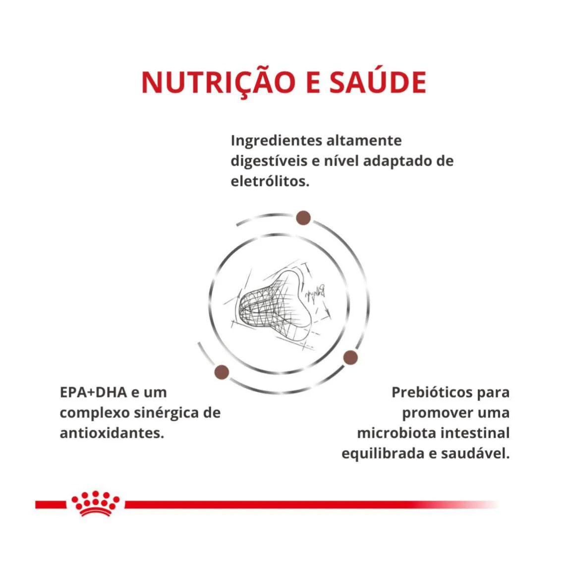 Ração Royal Canin Dieta Veterinária Hepatic para Gatos Adultos com Insuficiência Hepática 1,5Kg