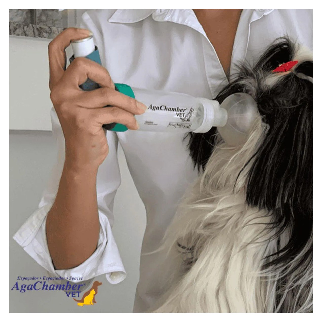 Espacador Agachamber Veterinario M/G - Cães e Gatos - Agpmed