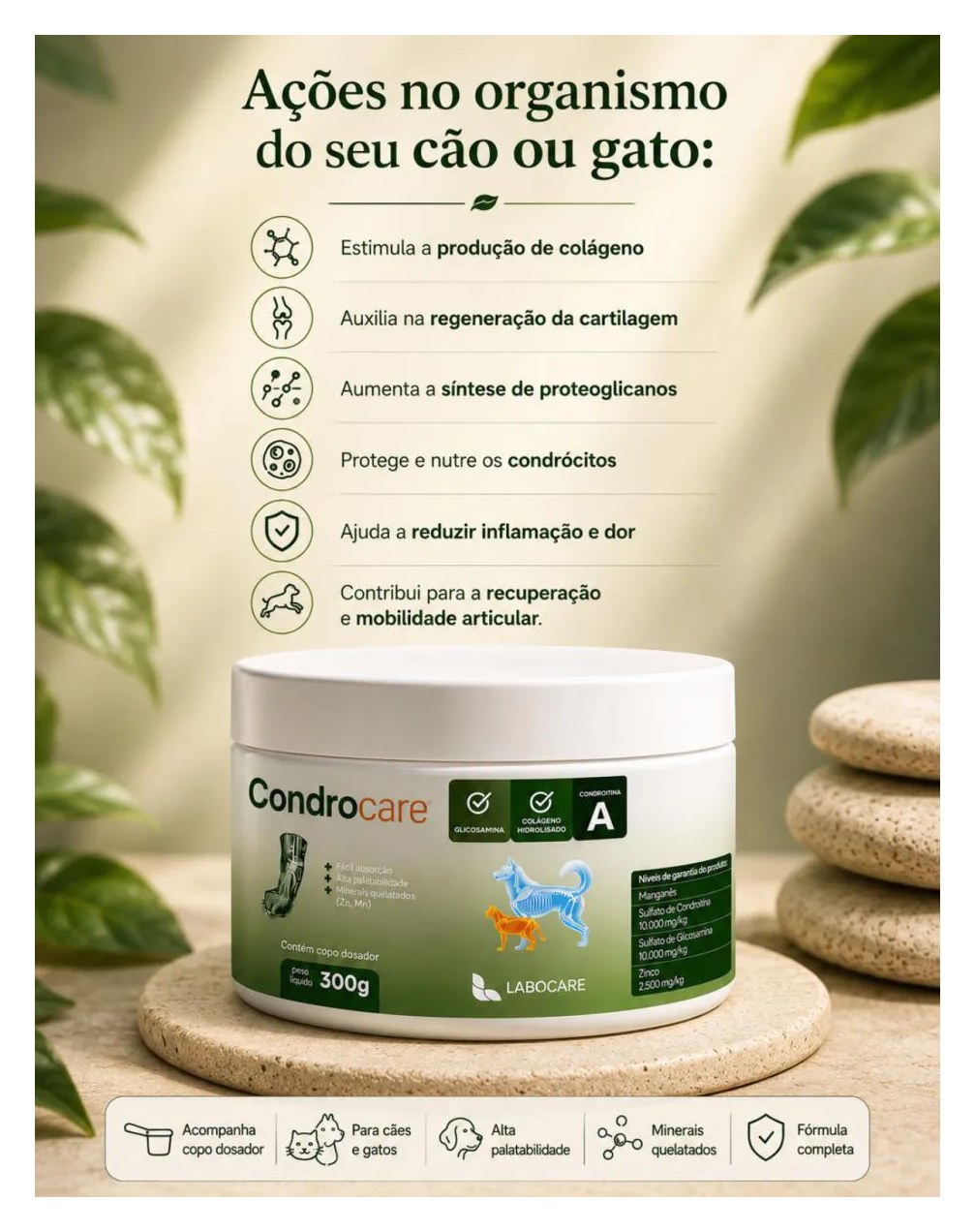 Condrocare Articular, Suplemento Alimentar - 300g