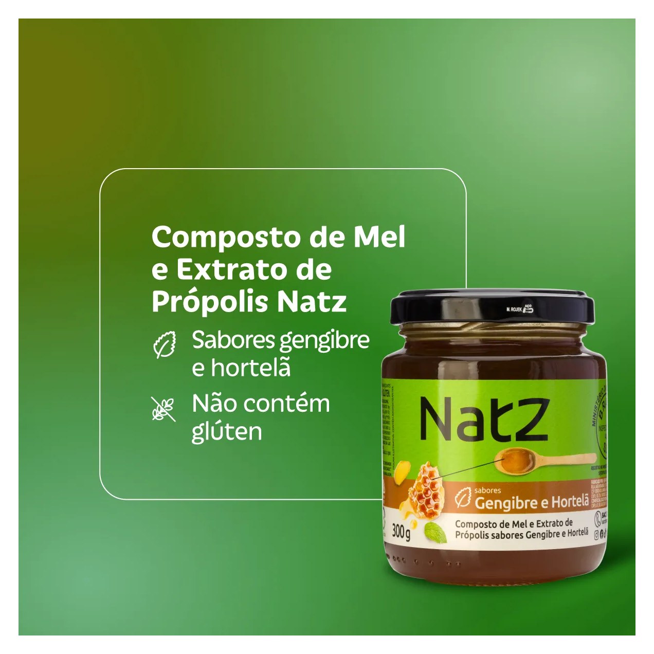Composto de Mel e Própolis Natz Gengibre e Hortelã 300g