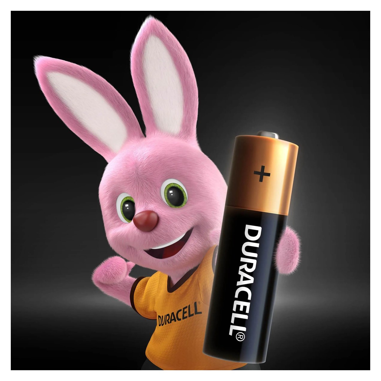 Pilha AA Duracell Alcalina com 4 unidades